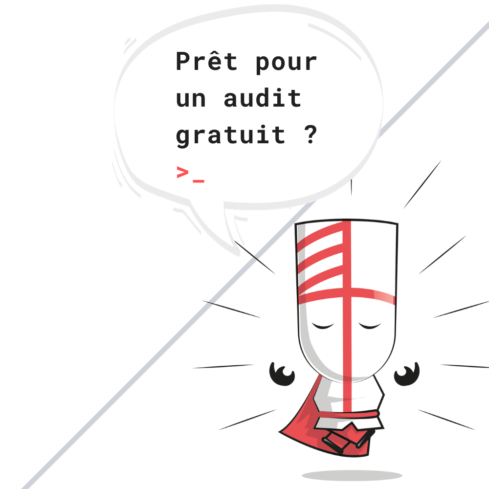 audit informatique enova